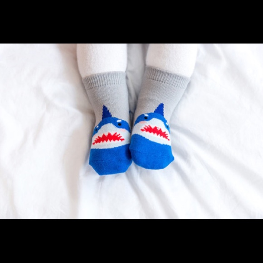 Baby Shark Zoo Socks